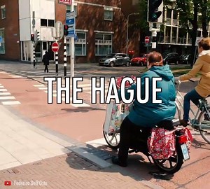 46K views · 965 reactions | Den Haag (The Hague) is the third largest...