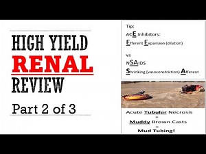 Renal Pance Review Part 2 of 3