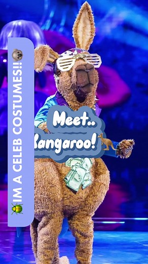 Unmasking the Characters: Behind the Scenes of The Masked Singer UK