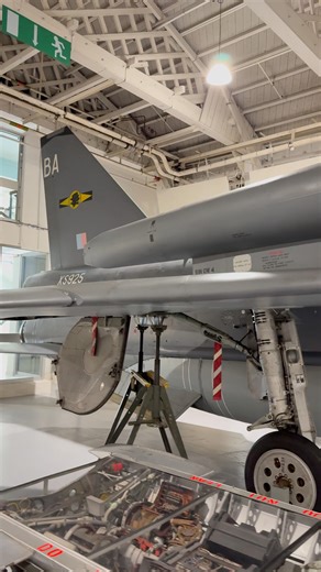 English Electric Lightning F.6 XS925 of No XI(F) Squadron at The Royal Air Force Museum London. XI were the final Lightning unit operating before disbandment of the force at RAF Binbrook, Lincolnshire in 1988. #coldwar #ColdWarHistory #lightning #royalairforce #jet | Daniel J Wheatcroft