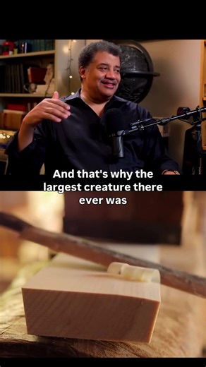 How much do you weight in water??