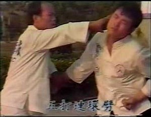 Mantis Kung Fu Applications - Master Shi