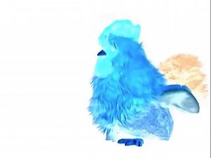 Baby Mozart in G Major [Part 2]