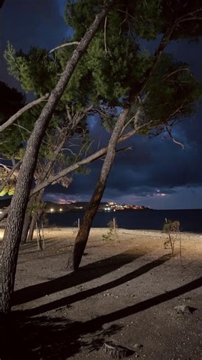 Evening Pines and a Sleeping Coast | Nightfall Over the Adriatic 🌙🌊 #shorts