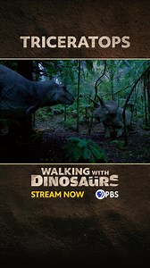 Journey back to the age of the long-lost giants and experience their world like never before. | PBS