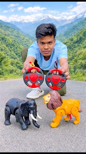 Rc remote control Elephant🐘vs Lion🦁unboxing testing #shortsfeed