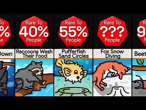 Comparison: Animal Habits (RAREST)