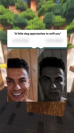 FUNNY MEMES