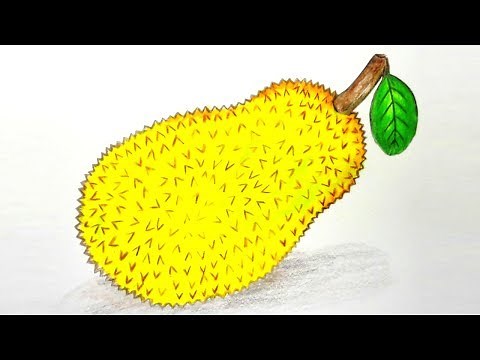 How to draw Jackfruit step by step Very Easy Drawing