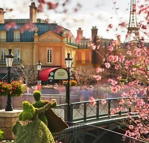Springtime in Paris, France 🌺🌿🌷🌱🌸🌿🌺 | Magical Beauty of Cities Around the World
