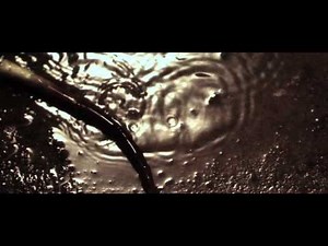 ASPARAGUS, The Movie