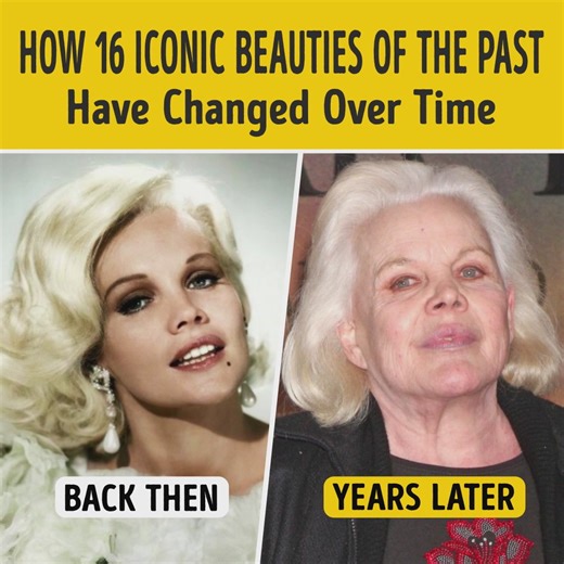 460K views · 3K reactions | How 16 Iconic Beauties of the Past Have Changed Over Time | Smart is the New Sexy | Facebook