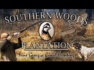 Quail Hunt // Southern Woods Plantation // Legends Of The Outdoors