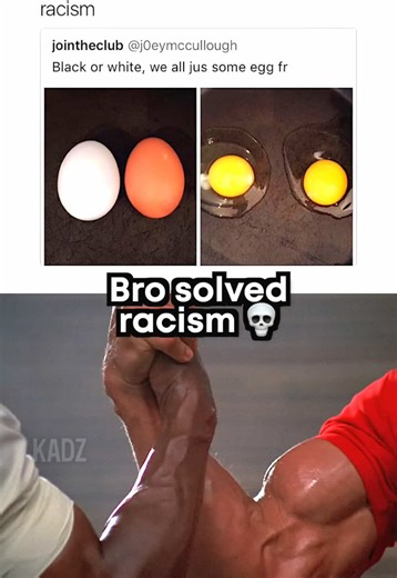Bro Ended Racism: A Powerful Meme Moment
