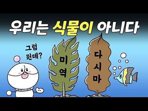 Wakame is not a marine plant | What is seaweed?