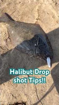 HOW TO DROPSHOT HALIBUT!! #fish #halibut #fishing #fishingtips #fishingdaily #fishinglife #dropshot