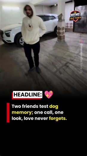 THE MEME FACTORY • NEWS-MEMES-FUNNY REELS on Instagram: "After two years apart, two friends decide to test whether the dog still remembers him. The moment his voice is heard, the dog instantly recognises him and rushes forward with excitement. Tails wag, eyes light up, and the bond speaks louder than time, distance, or words. 🎥 @rahulsidwan . . . Follow @memesfactory.ig for all Updates. . . . . . 在日本，研究人员正利用智能人行道将日常活动转化为清洁能源⚡。这些道路内嵌特殊的压电材料，可以从行人的脚步中收集动能。当人们行走、奔跑或跳跃时，路面会轻微变形，从而产生机械压力。压电晶体将这种压力转化
