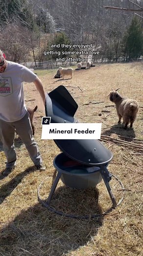 Outdoor Goat Mineral Feeder - Essential Farm Tool