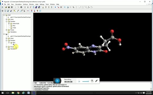 利用Argus lab软件进行分子对接(Molecular docking by using free available Argus lab)