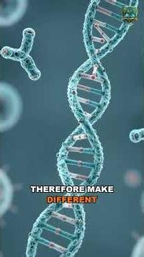 RNA Splicing: Why Cells Cut and Rejoin Their Messages
