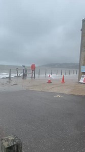15K views · 368 reactions | Proper wild here at Charmouth the morning | Charmouth Fossils | Facebook