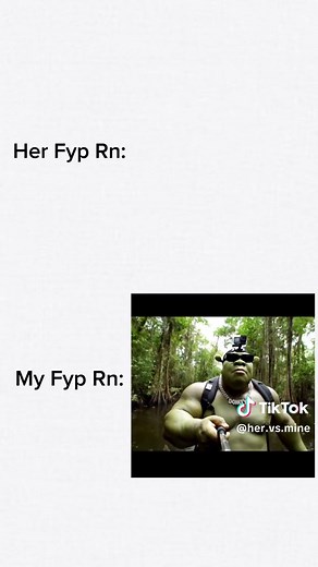 Shrek 2 Vlogs: The Ultimate Fun Experience