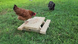 Chicken Table | Mini Picnic Table, Bird Feeder | Chicnic Table | Feeder Table | Picnic Table Bird Feeder | Squirrel Picnic Table | Handmade - Etsy Australia