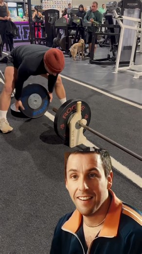 BAR JAK® on Instagram: "The accessory your gym needs 👊💪 Link in bio #gymaccessories #workoutinspiration #deadlift #fitnessmotivation #bodybuilding"