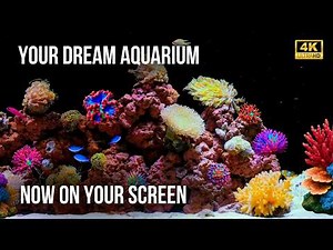 🐠 4K Aquarium Cleanse for Focus | 12 Hours of Pure Water Sounds, No Music!
