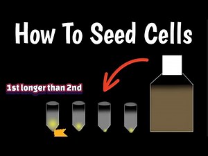 How To Seed Cells Correctly | Sedimentation In Cell Seeding Protocol |
