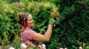 Walmart selling $10.42 privacy fence with 'realistic' leaves for summer gardens