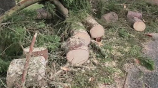 Snohomish County power outages