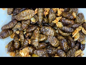Delicious silkworm pupae?