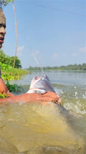 Amazing Big fish catching video.#fishing #fish #video | The Fishing