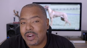 DIFFERENT DOG BREEDS FOR DIFFERENT MOMS