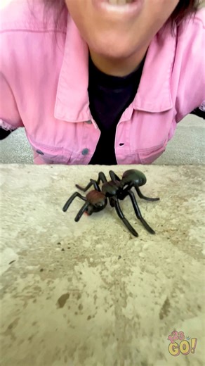 764K views · 3.5K reactions | NEVER HURT AN INSECT!  It's dangerous! 嵐 | 123 GO | Facebook