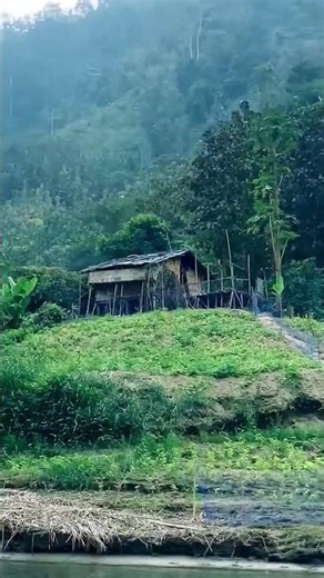 থানচি, বান্দরবান📍⛰️🌿 #bandarban #thanchi #pahari #viral #viralvideo #viralshorts #foryou #nature