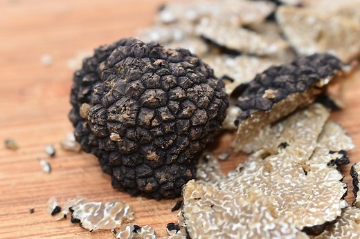 Growing Truffles Indoors: A Comprehensive Guide | GARDENS NURSERY
