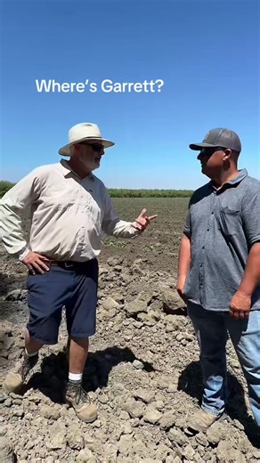 California Cantaloupes on TikTok