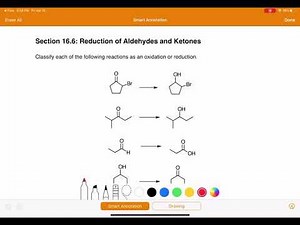 16.6 Worksheet Part 1