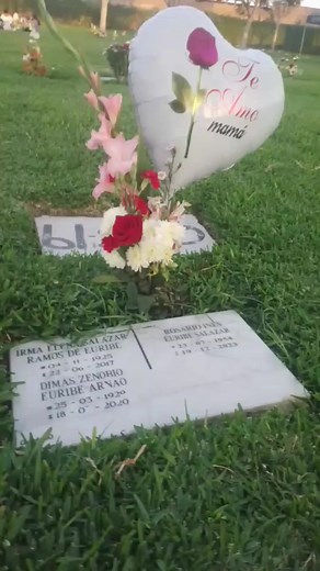 Hoy cumples 1 año y 5 meses desde que no estas con nosotros mamita bella💐🌷🪷 no sabes cuanto te extrañamos Tu partida nunca nos dejará de doler 🤍✨🪽😔🥲 | Cynthia Silvana Hernandez Euribe