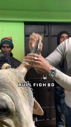 প্রতিপক্ষের অপেক্ষায়...!✨ বিগ বস 2.. 🔥 #highlightseveryone #everyoneシ゚ #reelsvideoシ #fypシ゚viralシ #highlightsシ゚ #foryoupagereels #facebookreelsviral #fighter | Bull Fight BD