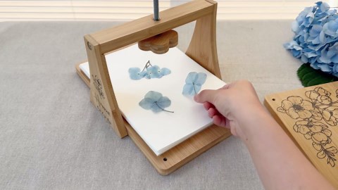Happinit Large Flower Press Kit - 6 Layers 11" x7" Even Pressure for DIY Arts, Pressing for Adults, Dried Plant Preservation for Craft Lovers