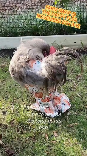 Rise and shine, it’s Farm Swap day!  Join us this Saturday for a morning of farm-fresh fun from 9am to 12pm. Bring your chickens, produce, and more to swap and share! Located at 19515 HWY 43, Mt. Vernon, AL. See you there!  #FarmSwap #CommunityEvent #LocalFun | The Happy Flea Market presents Farm Swap and Trade Day | Facebook