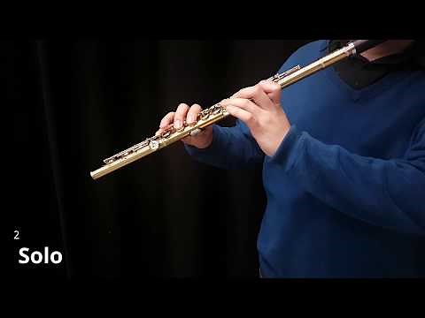Flute Orchestra Study : Brahms's Symphony No.4 IV Mov.