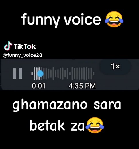 Hilarious Funny Voice Clips That Will Make You Laugh!