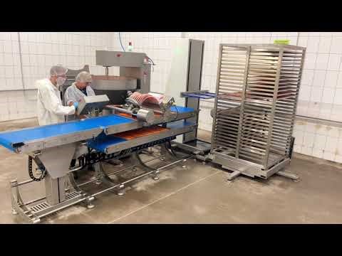 Meat/Fish snacks production line SAS200