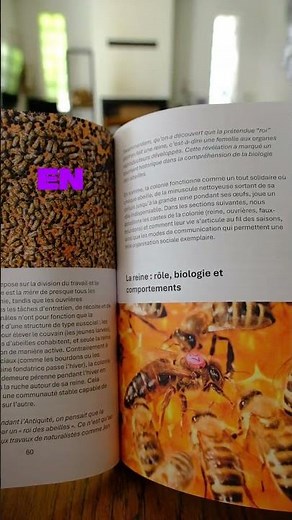 Comment débuter en apiculture ! Le meilleur livre pour avoir ton propre miel