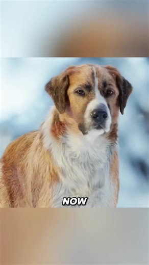 Weekly Viral (@weekly_viral)’s videos with original sound - Weekly Viral