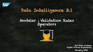 Data Intelligence 15 of 21 - Validation Rules